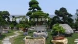中国最值钱的十大盆景树种,十大盆景名贵树种排名