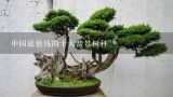 中国最值钱的十大盆景树种,中国广东十大盆景排名？