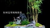 松树造型视频教程,马尾松树盆景造型时间？