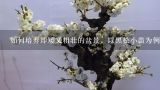 如何培养即矮又粗壮的盆景，以黑松小苗为例？郑州哪里有卖黑松造型树的地方？