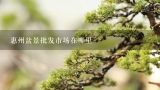 惠州盆景批发市场在哪里,浙江最大的盆景批发市场在哪里