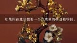 如果你在北京想要一个高质量的盆景植物园，你会选择去上海或者南京旅游？