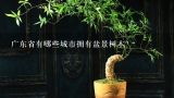 广东省有哪些城市拥有盆景树木？