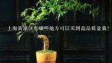 上海黄浦区有哪些地方可以买到高品质盆栽？