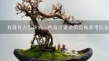 有没有人告诉我一些温江盆景的价格参考信息吗？
