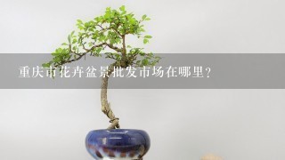 重庆市花卉盆景批发市场在哪里？