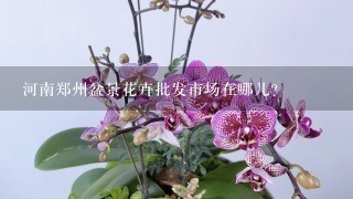 河南郑州盆景花卉批发市场在哪儿？