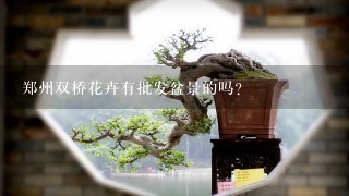 郑州双桥花卉有批发盆景的吗？
