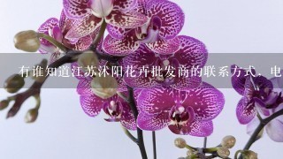 有谁知道江苏沭阳花卉批发商的联系方式，电话，QQ都可以，谢谢