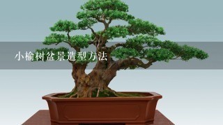 小榆树盆景造型方法