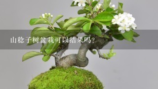 山稔子树盆栽可以结果吗？