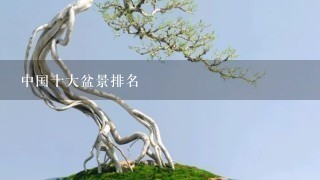 中国十大盆景排名