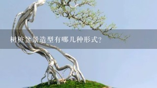 树桩盆景造型有哪几种形式？