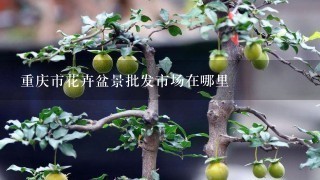重庆市花卉盆景批发市场在哪里