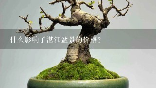 什么影响了湛江盆景的价格？